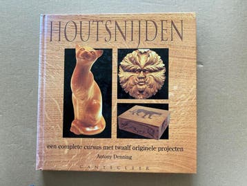 Houtsnijden - Technieken - Gereedschapsonderhoud - Projecten, Verzenden, Zo goed als nieuw, Houtbewerking