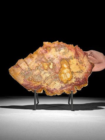 Prachtige plak rood versteend hout op een op maat gemaakte