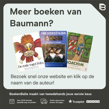 De prins en de luit 9789062907236 Baumann, Verzenden, Gelezen, Baumann