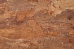 Wandkurk plaat - Cork Forest Back - 60 x 29,5cm, Ophalen of Verzenden, Nieuw