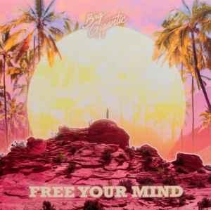 cd - Big Gigantic - Free Your Mind, Cd's en Dvd's, Cd's | Hiphop en Rap, Nieuw in verpakking, Verzenden