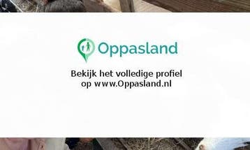 Evrim zoekt een oppas in Kockengen voor 1 kind voor 5 dag..., Vacatures, Vacatures | Overige Vacatures