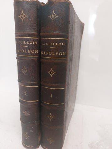 Antoine Guillois - Napoléon - 1880-1880