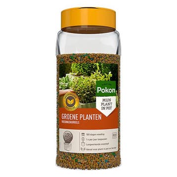 Groene planten voeding | Pokon | 800 gram (Korrels), Verzenden, Nieuw