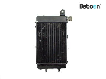 Radiateur Rechts Aprilia Tuono RSV 1000 (+Factory) 2002-2005, Verzenden, Gebruikt