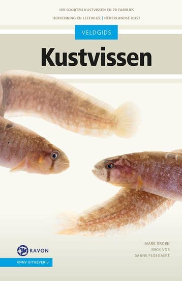Veldgids Kustvissen | Mark Groen; Mick Vos; Sanne Ploegaert, Ophalen of Verzenden, Nieuw, Mark Groen; Mick Vos; Sanne Ploegaert