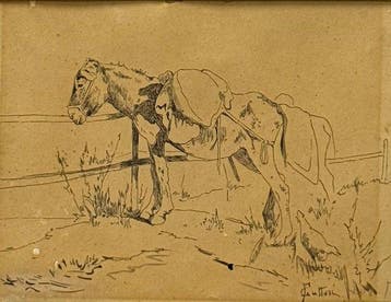 Giovanni Fattori (1825-1908), Attr. - Cavallo