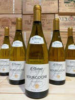 2020 Domaine Noémie Vernaux - Bourgogne - 6 Flessen (0.75, Nieuw