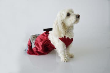 Hond invalide? Kat achterpootjes verlamd? Dragbag sleepzak, Nieuw