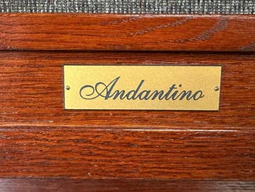 Johannus Andantino, Muziek en Instrumenten, Gebruikt, 2 klavieren, Orgel