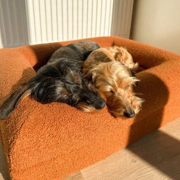 Buddy Beds Golden Teddy Hoes - Hondenmand Hoes - Zacht Teddy, Ophalen of Verzenden, Zo goed als nieuw