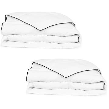 vidaXL Winterdekbedden 2 st 140x200 cm dons, Verzenden, Nieuw, Wit