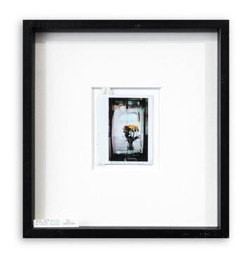 Maurizio Galimberti (1956–) - Studio Flowers - Signed &