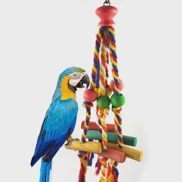 Kleurrijk Houten Vogel Speeltje met Touw - Kauwspeelgoed voo, Dieren en Toebehoren, Vogels | Overige Vogels