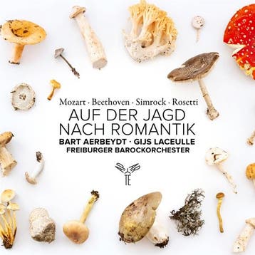 cd - freiburger barockorchester gottfrie - AUF DER JAGD N..., Verzenden, Zo goed als nieuw