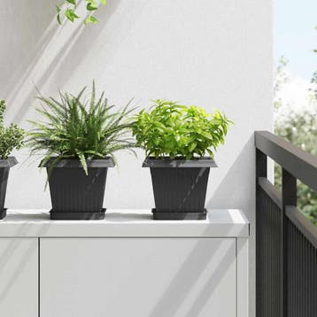 vidaXL Vierkante Bloemenschotel 24 st Zwart 15 x 15 x 2 cm, Kunststof, Minder dan 30 cm, Verzenden, Minder dan 60 cm