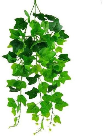 Hedera Groen Zijden Bladeren Hanger vuller, Ophalen of Verzenden, Nieuw