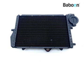 Radiateur BMW K 1100 LT 1991-1992 (K1100LT) (1464568), Verzenden, Gebruikt