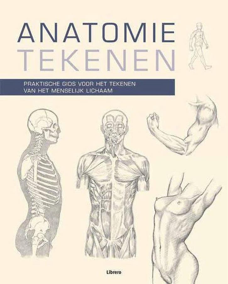 Anatomie tekenen 9789057644283 Barrington Barber, Boeken, Hobby en Vrije tijd, Gelezen, Verzenden