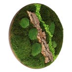 Vintlux Mosschilderij Rond Donker Eiken - Selfjord, Huis en Inrichting, Woonaccessoires | Wanddecoraties, Nieuw