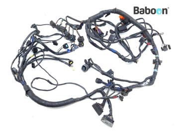 Kabelboom Triumph Sprint ST 1050 +ABS 2008-2010 (VIN, Verzenden, Gebruikt
