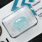 1 pcs Blauw Paraiba toermalijn - 6.17 ct - International, Nieuw