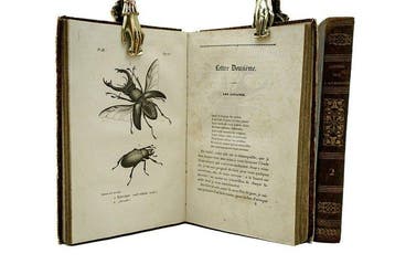 M. E. Mulsant - Lettres à Julie sur lEntomologie. Suivi, Antiek en Kunst