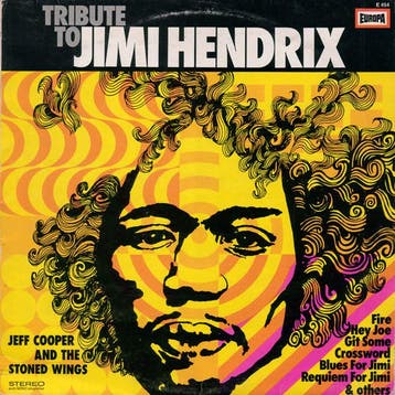 Jeff Cooper And The Stoned Wings - Tribute To Jimi Hendrix, Ophalen of Verzenden, Gebruikt