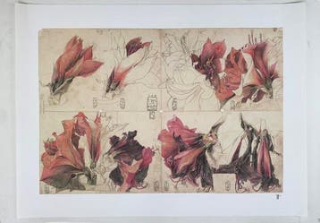 Horst Janssen (1929-1995) (after) - Tagebuch einer