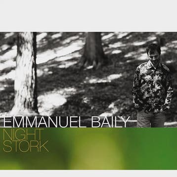 cd digi - Emmanuel Baily - Night Stork, Verzenden, Zo goed als nieuw