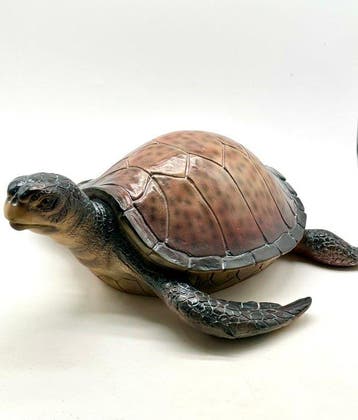 No reserve-Levensecht gelijkend beeld van een waterschildpad