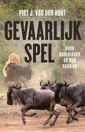 Gevaarlijk spel (9789045038742, Piet J. van den Hout), Verzenden, Nieuw
