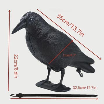 Realistische Zwarte Kraai Decoratie & Vogelverschrikker - Tu