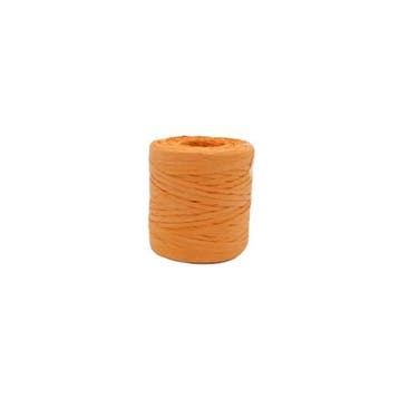 Raffia 5 mm 200 mtr Eco Oranje, Hobby en Vrije tijd, Ophalen of Verzenden, Nieuw, Overige typen