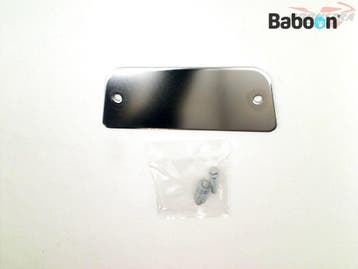 Rugsteun Honda VT 750 C 2010-2016 (VT750C RC53) Plate. New, Verzenden, Gebruikt