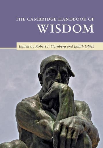 The Cambridge Handbook of Wisdom 9781108700344, Boeken, Verzenden, Zo goed als nieuw