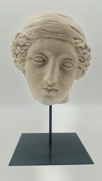 sculptuur, Testa di Venere - 34 cm - marmerpoeder