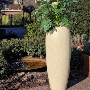Ares XL 48x48x120 cm Cream, Verzenden, Nieuw, Rond, Beton
