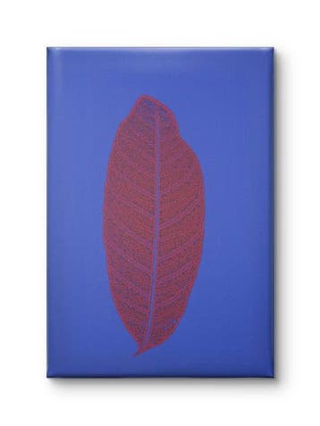 Branescu Ilie - The Imprint of Life