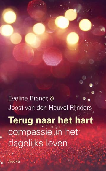Terug Naar Het Hart | Eveline Brandt; Joost Heuvel Rijnders, Ophalen of Verzenden, Nieuw, Eveline Brandt; Joost Heuvel Rijnders