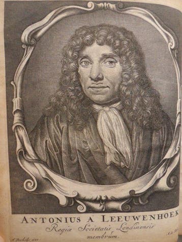 Antoni Van Leeuwenhoek - Vervolg Der brieven / Natuurs