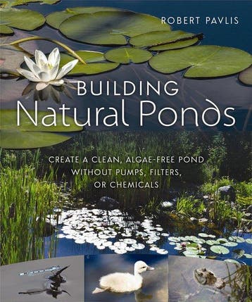 Building Natural Ponds - Robert Pavlis 9780865718456, Verzenden, Zo goed als nieuw, Robert Pavlis