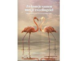 Boek Zo kom je samen met je tweelingziel 9789464377156, Verzenden, Zo goed als nieuw