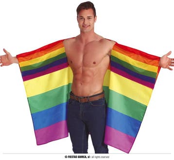 Cape Vlag Regenboog, Ophalen of Verzenden, Nieuw