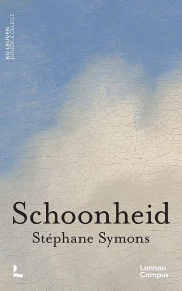 Schoonheid - Stéphane Symons 9789401495592, Verzenden, Gelezen, Stéphane Symons