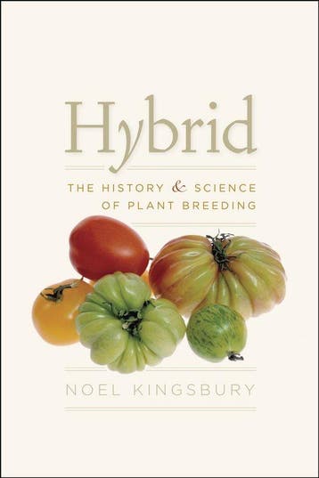 9780226437132 Hybrid Noel Kingsbury, Verzenden, Nieuw, Noel Kingsbury