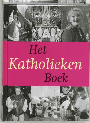 Het katholieken boek / HET ..... BOEK - H. Pijfers, Verzenden, Gelezen, H. Pijfers