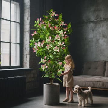 Grote Kunstboom Ficus Magnolia Banyan Nandina - 82-144cm, Verzenden