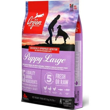 Orijen Puppy Large 11,4 kg (Hondenvoer), Verzenden, Hond