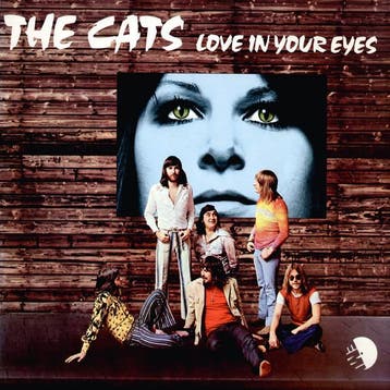 The Cats - Love In Your Eyes, Ophalen of Verzenden, Gebruikt